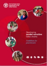 Developing gender-sensitive value chains - Guidelines for practitioners